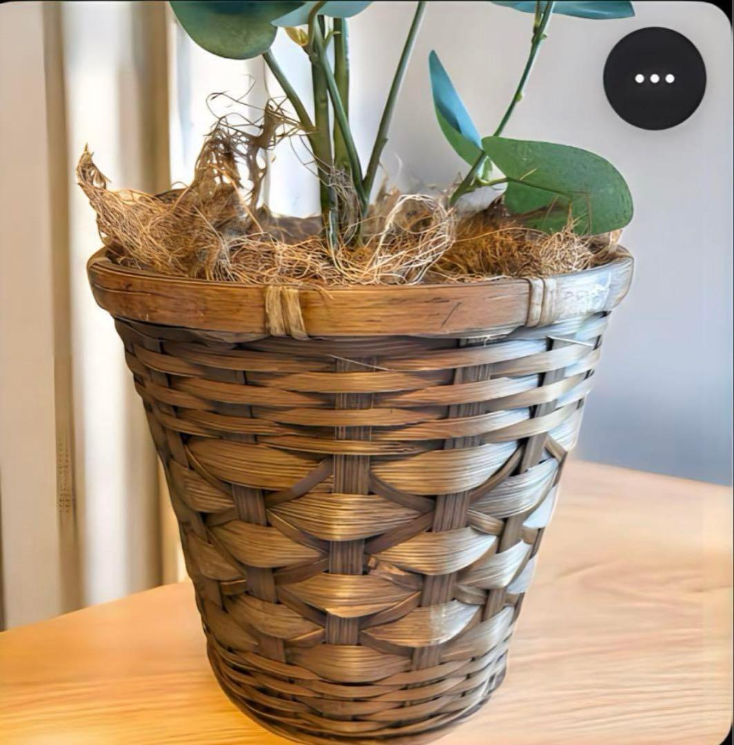 光触媒　人工観葉植物　ウォールグリーン　フェイクグリーン　ユーカリポット1004