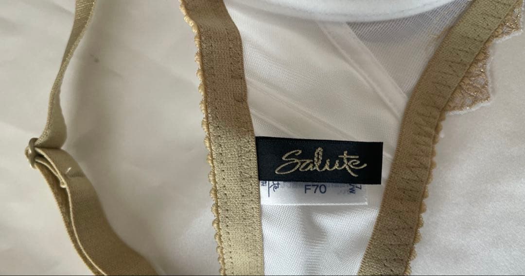 【サルート】ワコール　salut ブラ　F70