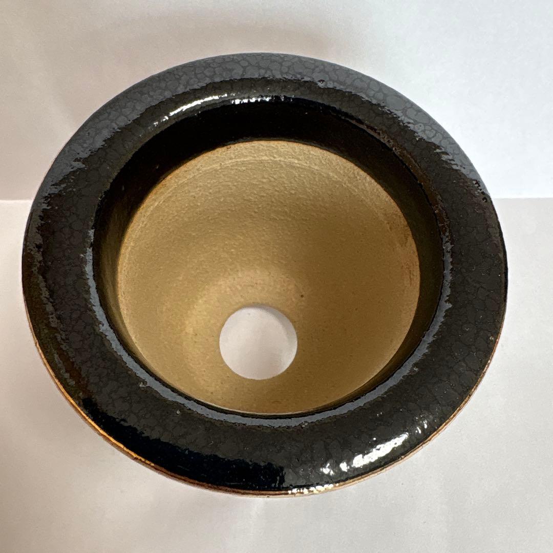 錦鉢　富貴蘭鉢　未使用品