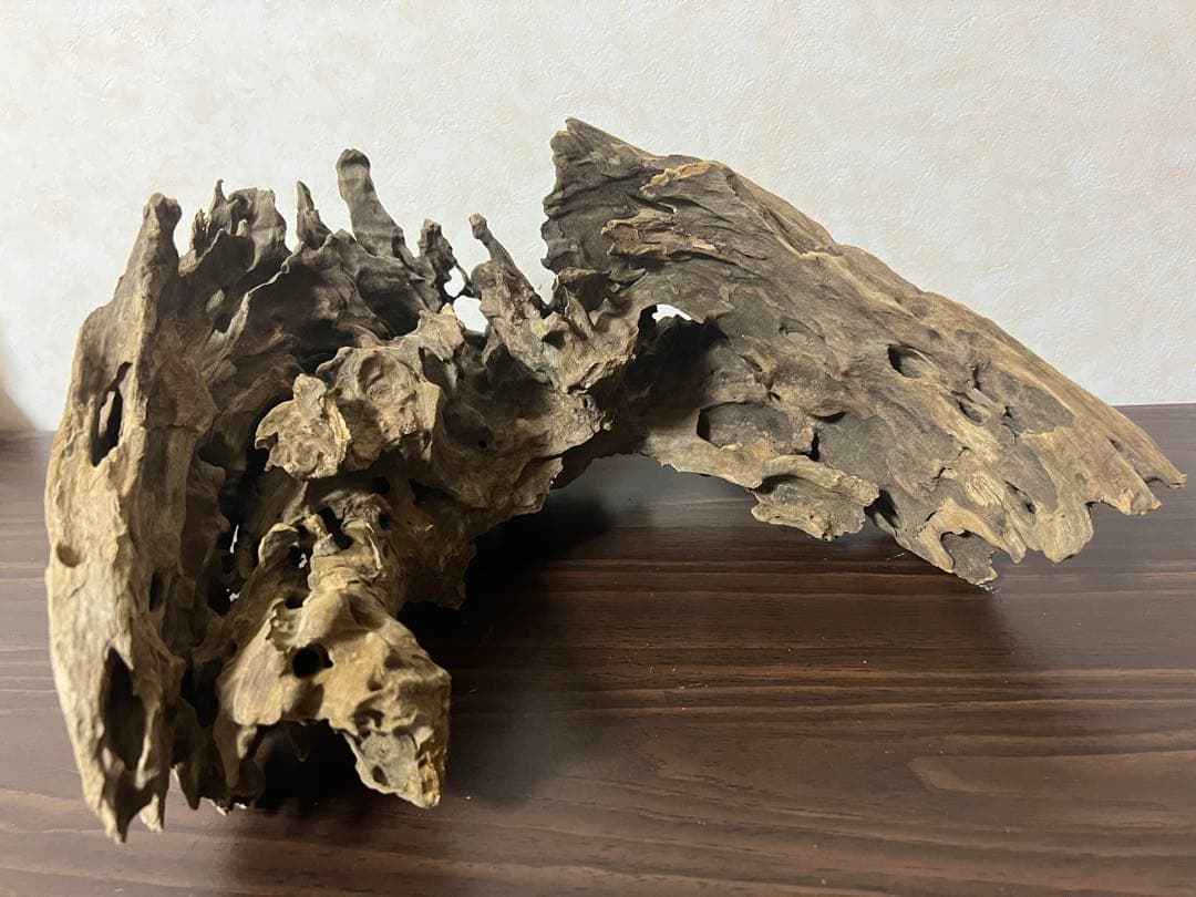 XM-321 流木マシンガンウッド　ブランチウッド　アクアリウム　沈水確認済