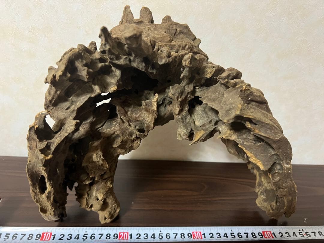 XM-321 流木マシンガンウッド　ブランチウッド　アクアリウム　沈水確認済