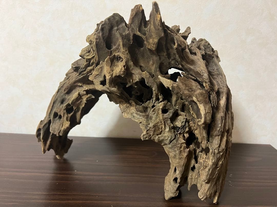 XM-321 流木マシンガンウッド　ブランチウッド　アクアリウム　沈水確認済