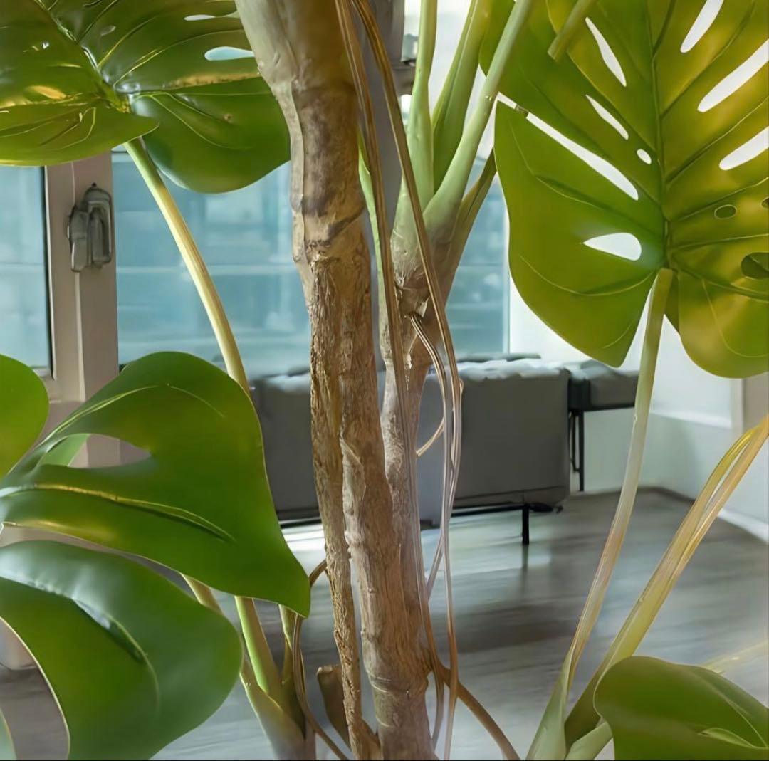 光触媒　人工観葉植物　ウォールグリーン　フェイクグリーン　モンステラ160