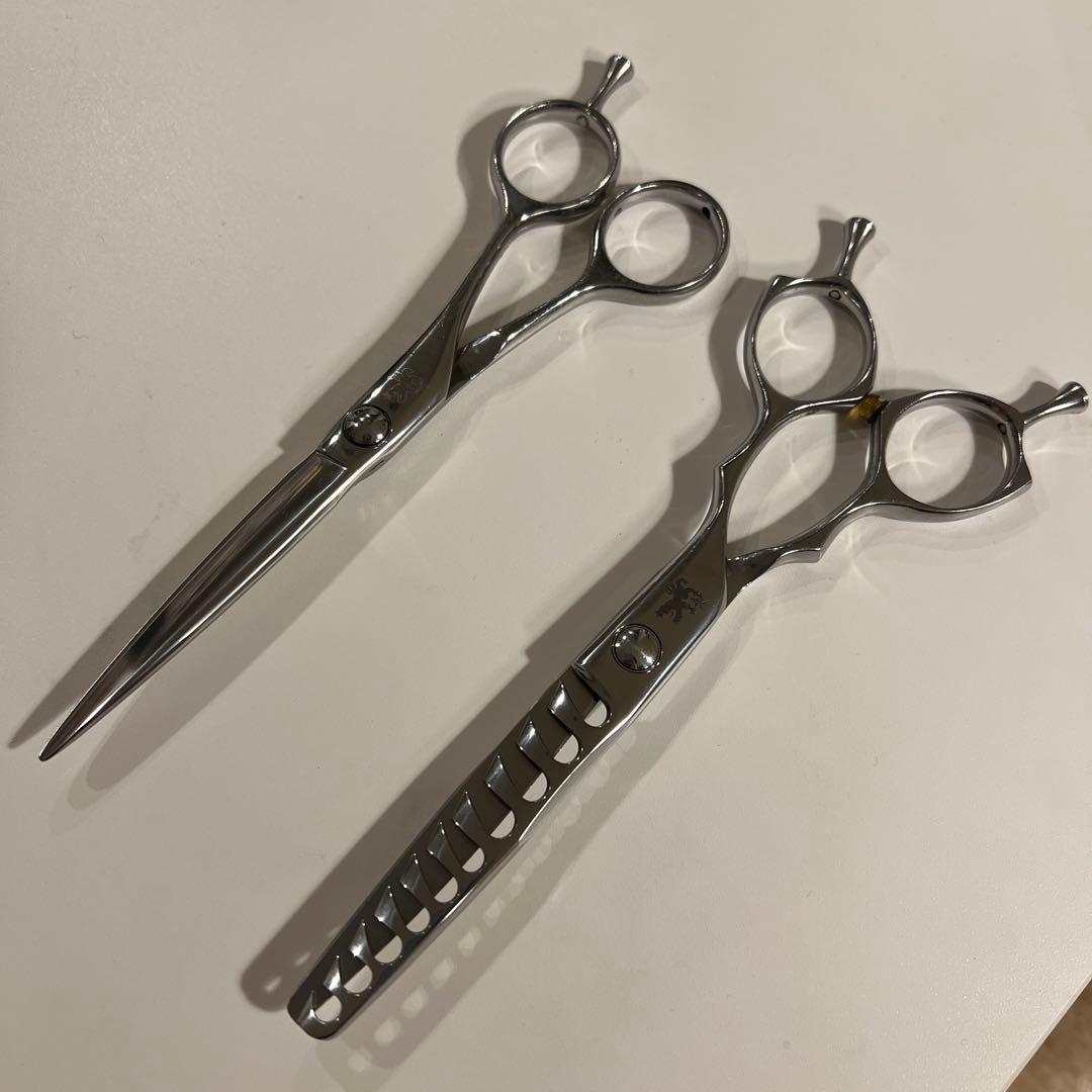 トラックスシザー　HARD6.0 PARM10 2本セット