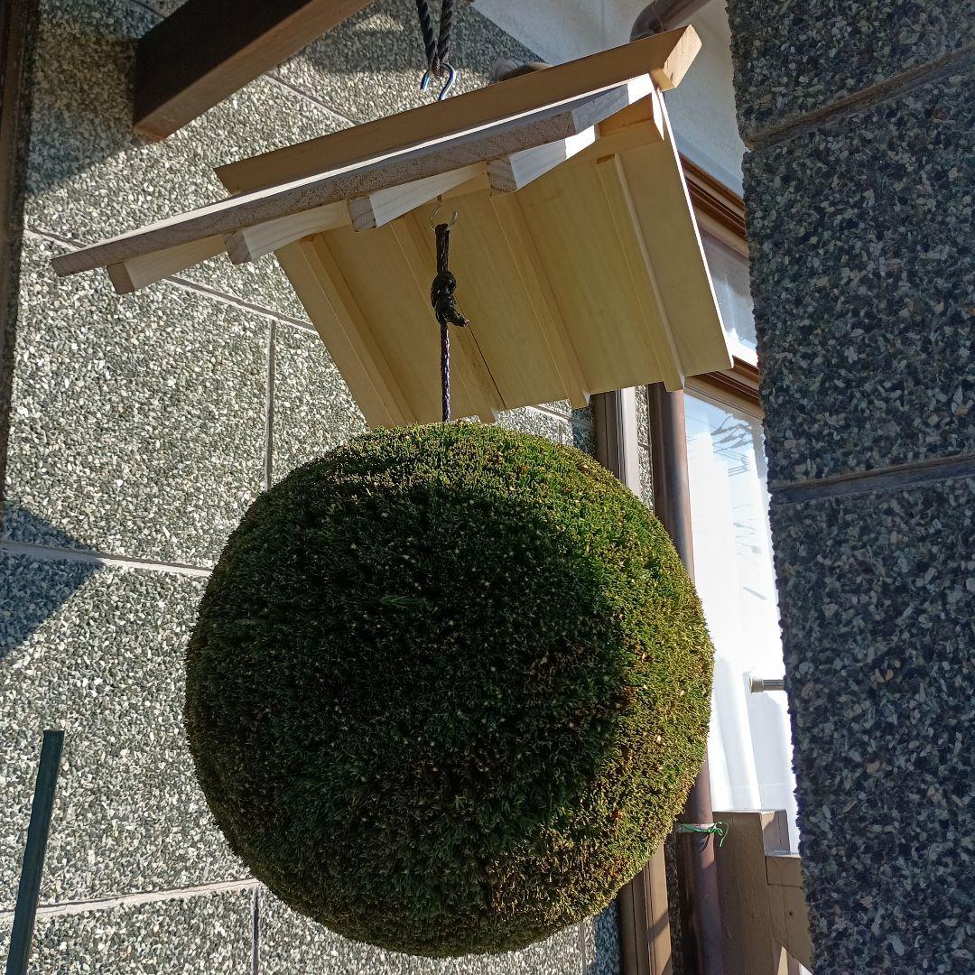 杉玉　直径34ｃｍ　屋根付き
