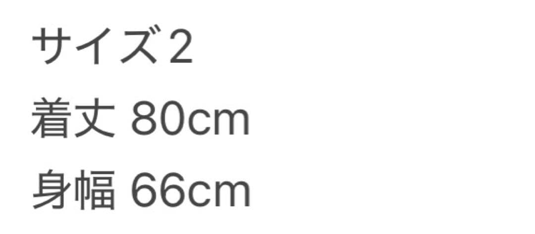 トップス CVTVLIST BUDDY LONGSLEEVE TEE\"SPECIAL\"