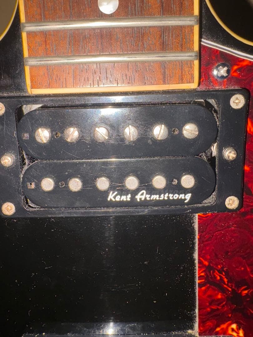 A*P様 Burny RSA-55 セミアコ ES-335タイプ