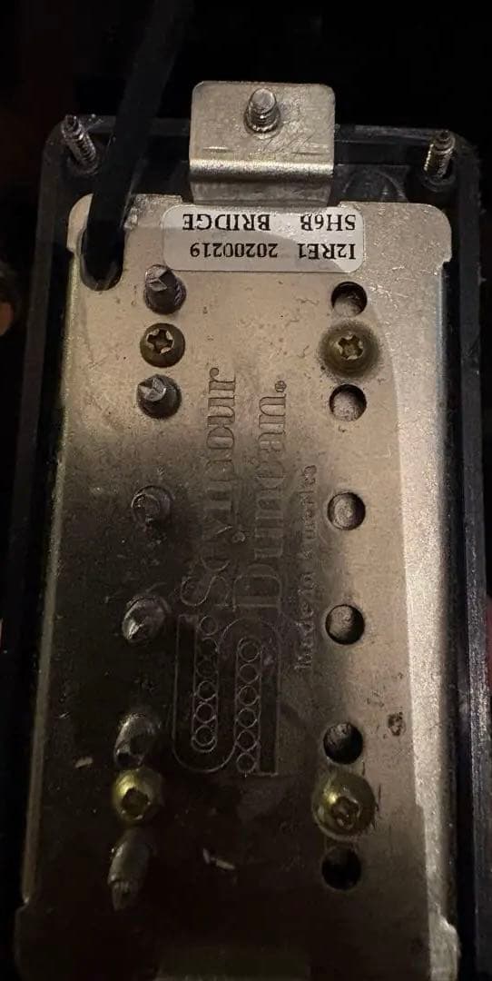 A*P様 Burny RSA-55 セミアコ ES-335タイプ