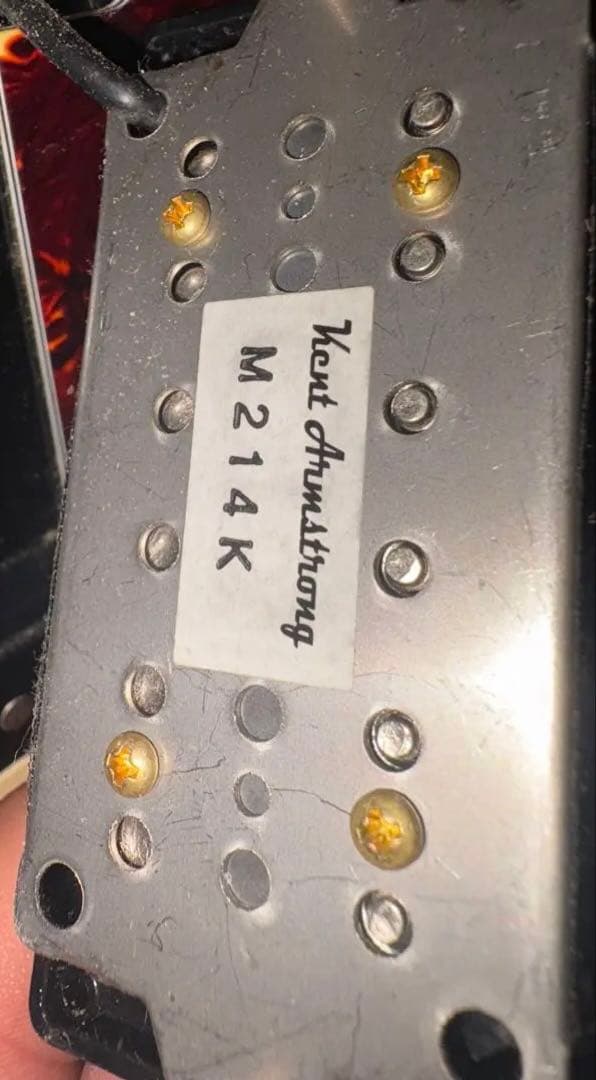 A*P様 Burny RSA-55 セミアコ ES-335タイプ