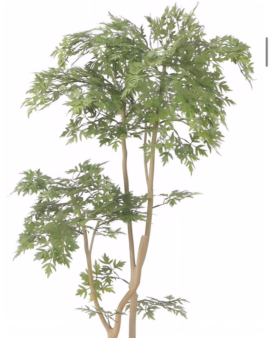 光触媒　人工観葉植物　ウォールグリーン　フェイクグリーン　タイワンモミジ1.3