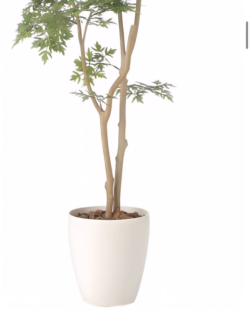 光触媒　人工観葉植物　ウォールグリーン　フェイクグリーン　タイワンモミジ1.3