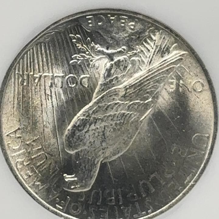 1923年 アメリカ ピースドル MS64 銀貨