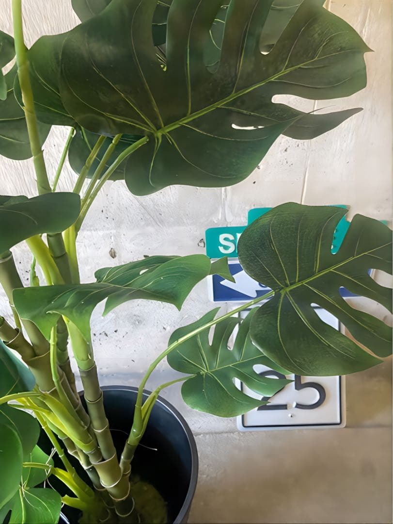 光触媒　人工観葉植物　ウォールグリーン　フェイクグリーン　モンステラ12080