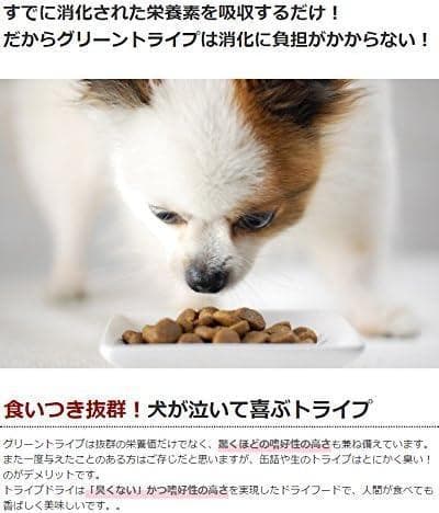 2個限定【新品・未使用】グリーントライプ＆バイソン 2.72kg ドライタイプ