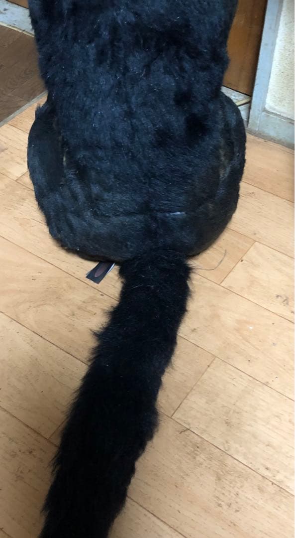☆大特価☆大型犬ぬいぐるみ 黒