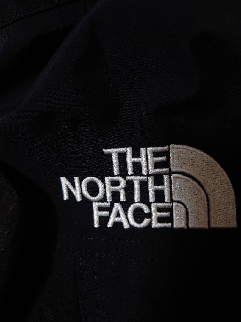 ジャケット・アウター THE NORTH FACE GORE-TEX Mountain Jacket