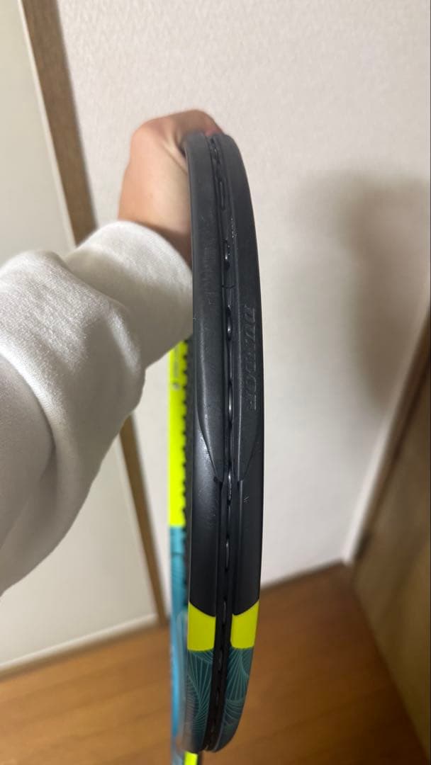 ダンロップsx300