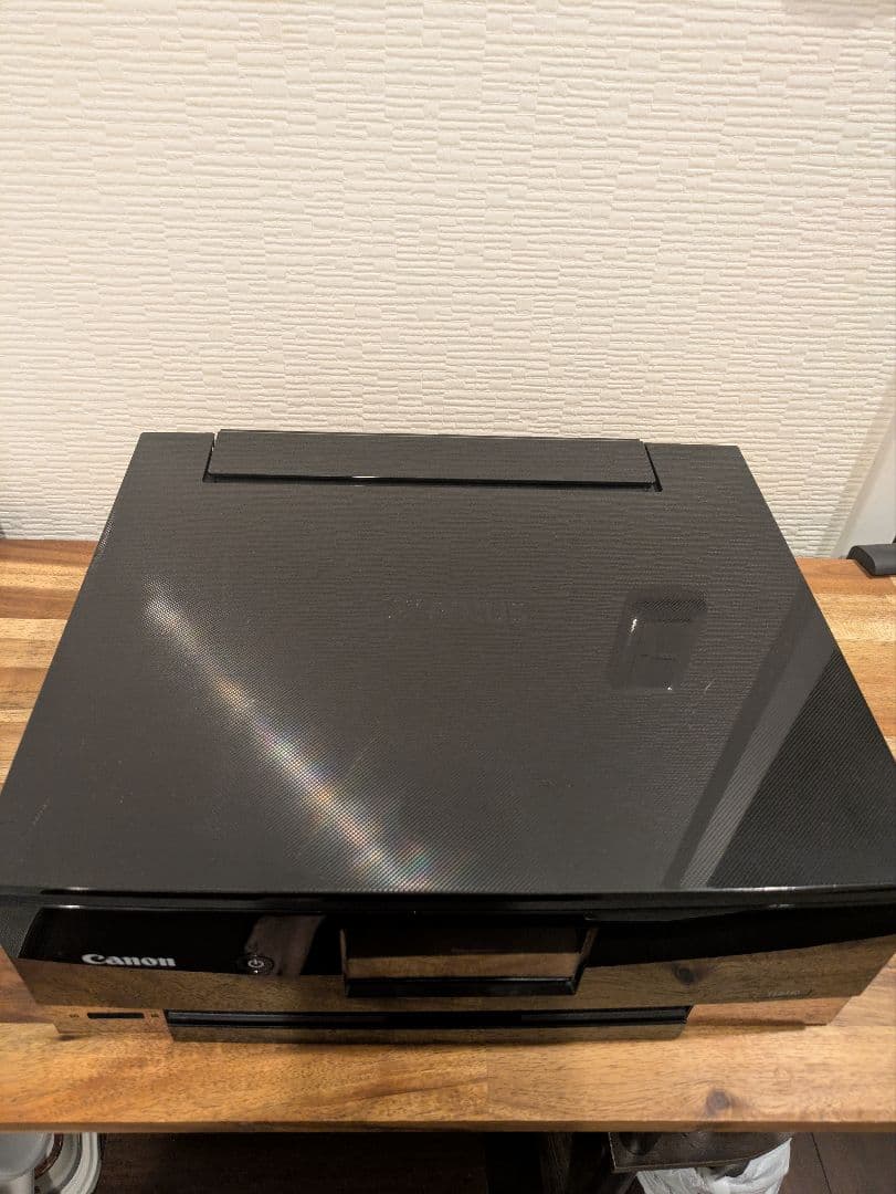 Canon PIXUS TS8430 印刷枚数 2490枚 No.171
