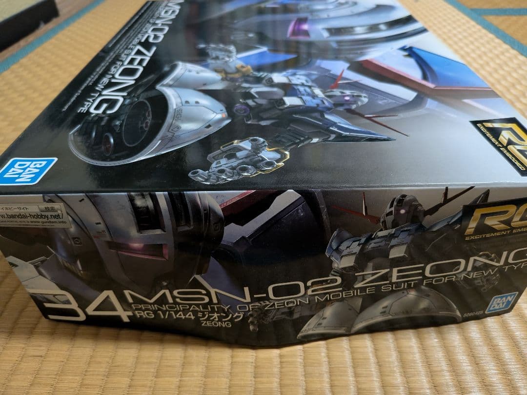 RG 1/144 ジオング プラモデル 機動戦士ガンダム