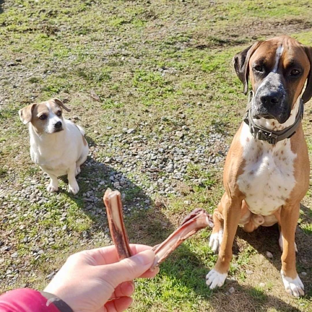 送料込み‼️鹿あばらジャーキー1kg（100g×10袋）中小型犬向けサイズ