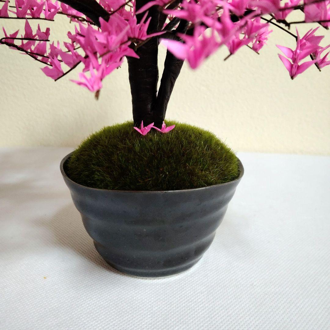 折り鶴盆栽(河津桜盆栽)No.51
