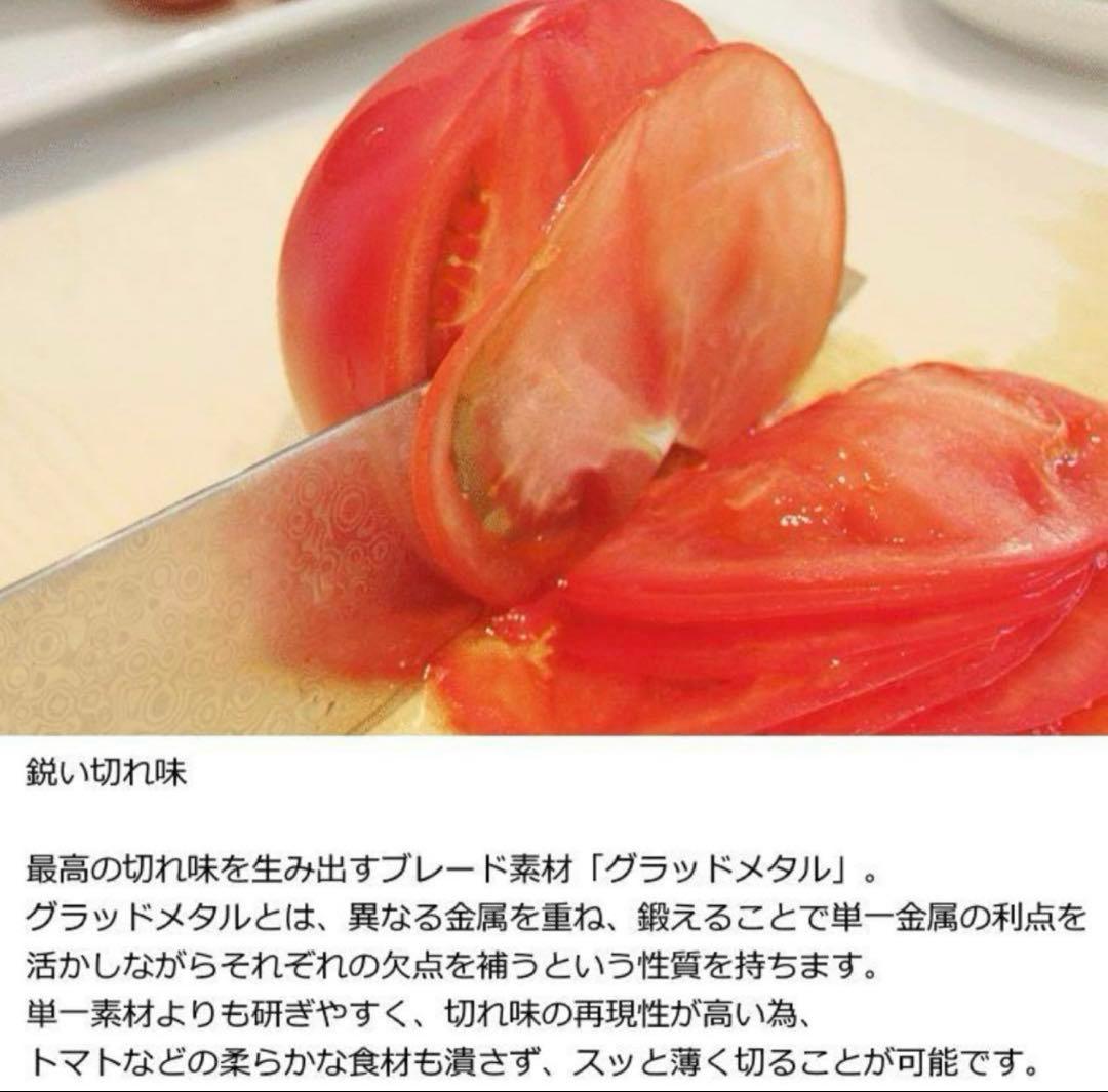 メタフィスiiza 包丁 1210-210 牛刀 ECHIZEN JAPAN
