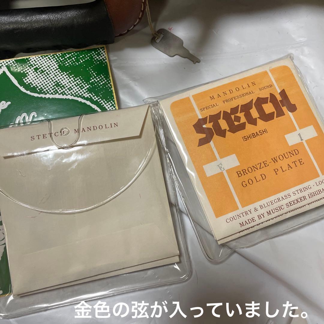 グラスランド　フラットマンドリン　ケース付き　カワセ