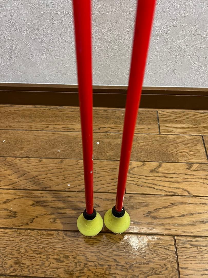 スキー LEKI VENOM GS 120cm