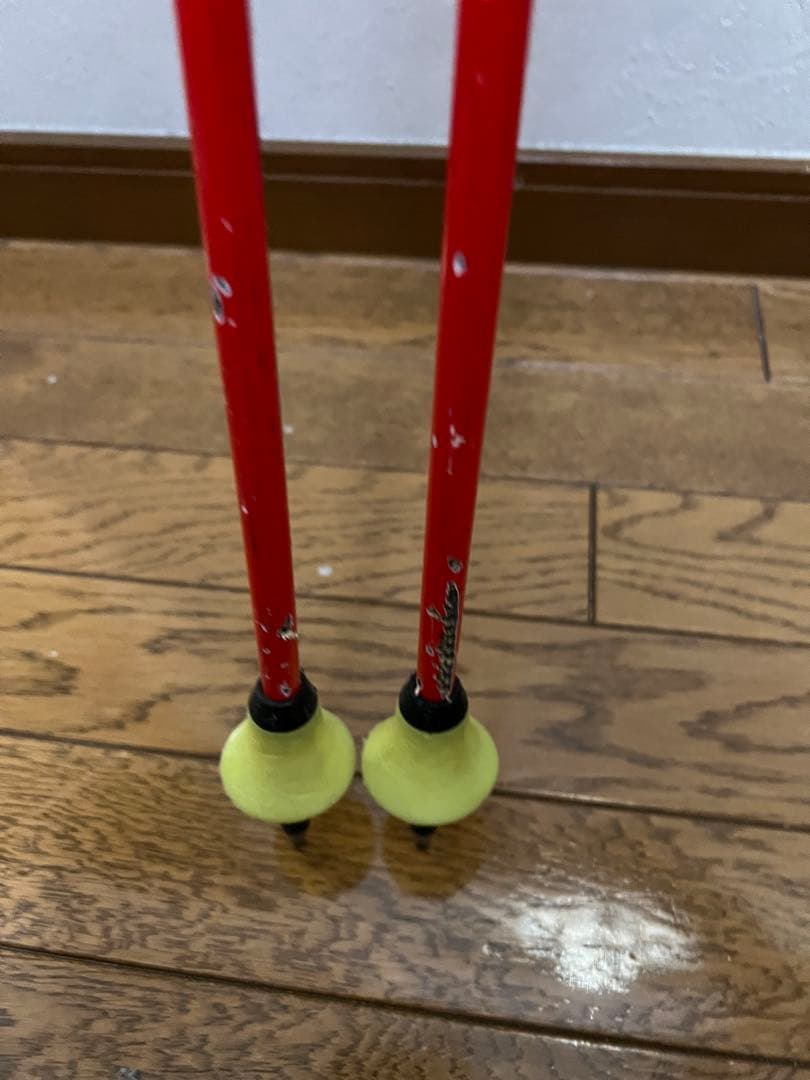 スキー LEKI VENOM GS 120cm