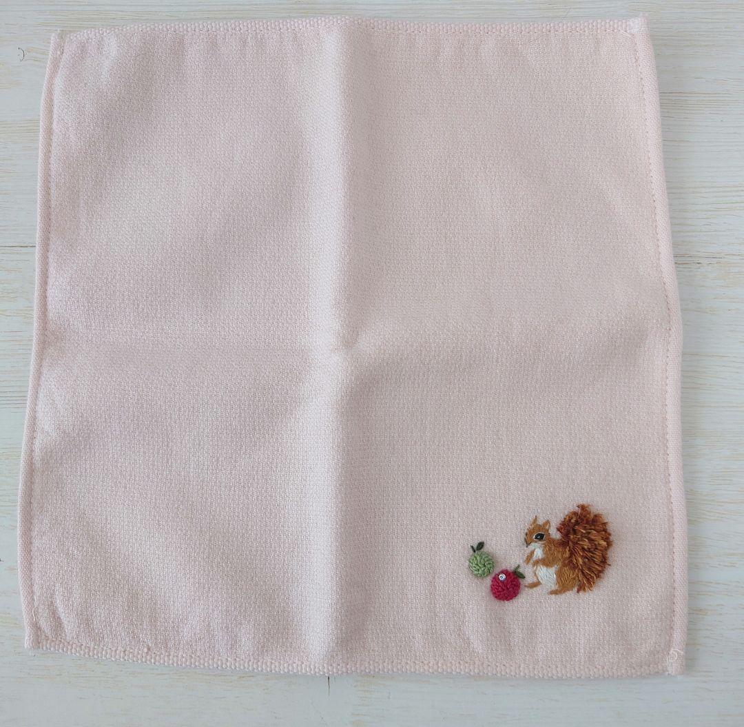手刺繍入ちっちゃな タオルハンカチ【りす君と林檎】
