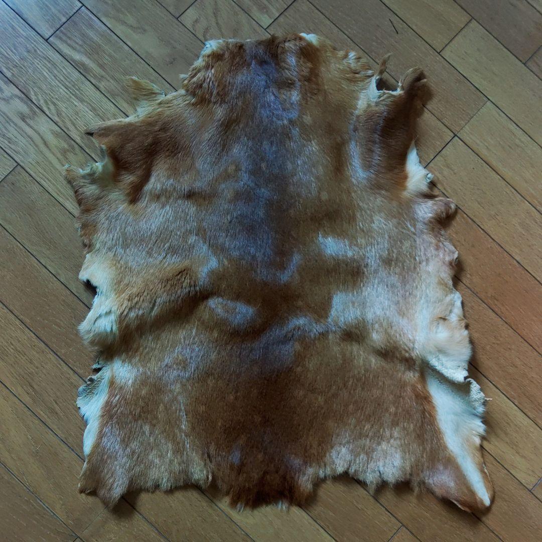 小鹿の毛皮