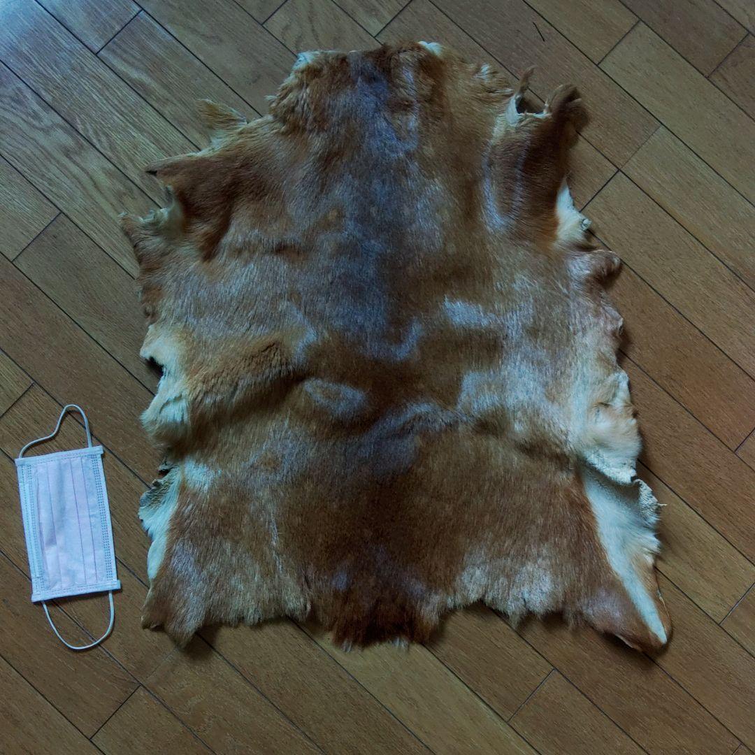 小鹿の毛皮
