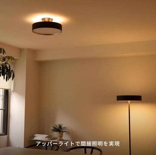 ラ*ズ様 シーリングライト・アートワークスタジオ AW-0556E BK/LW