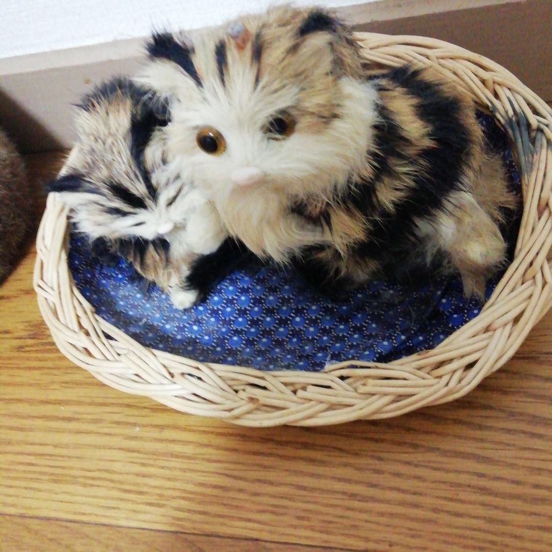 カゴの中のミニ、ミニ、キャット