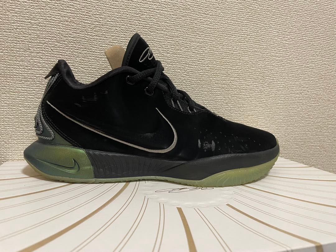 Nike レブロン 21 EP FB2236-001 タイタン