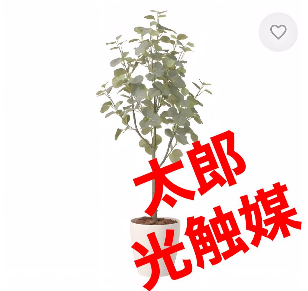 光触媒　人工観葉植物　ウォールグリーン　フェイクグリーン　ユーカリツリー1.35
