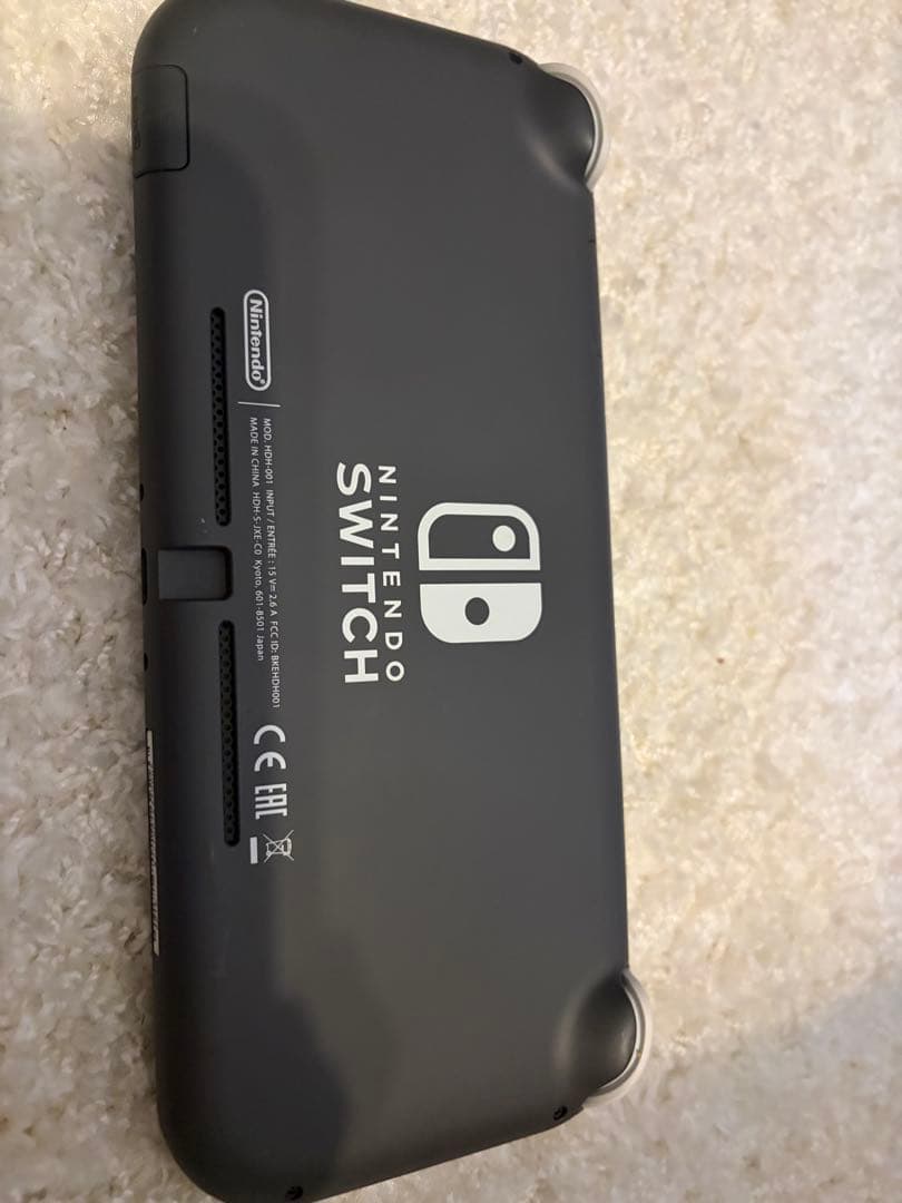 SDつきSwitchライト グレー