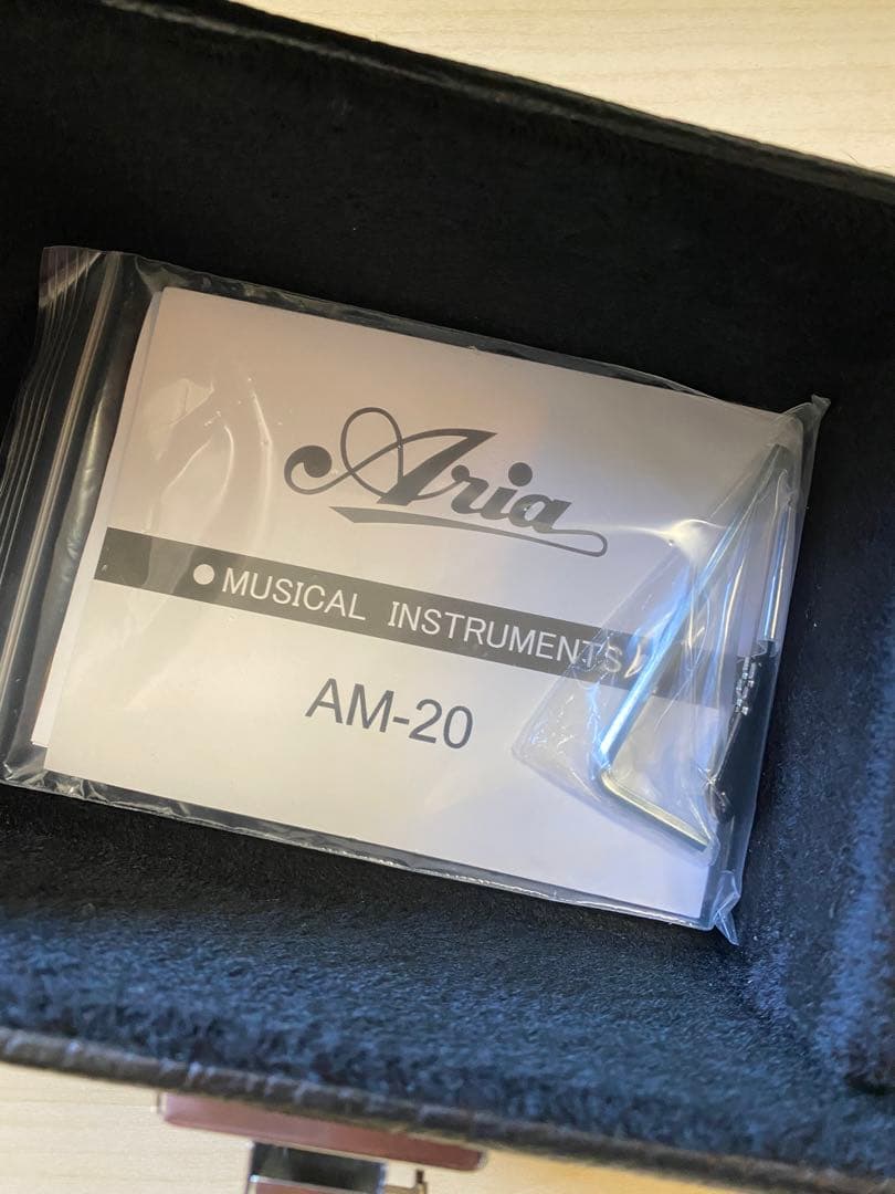 Aria AM-20 フラットマンドリン