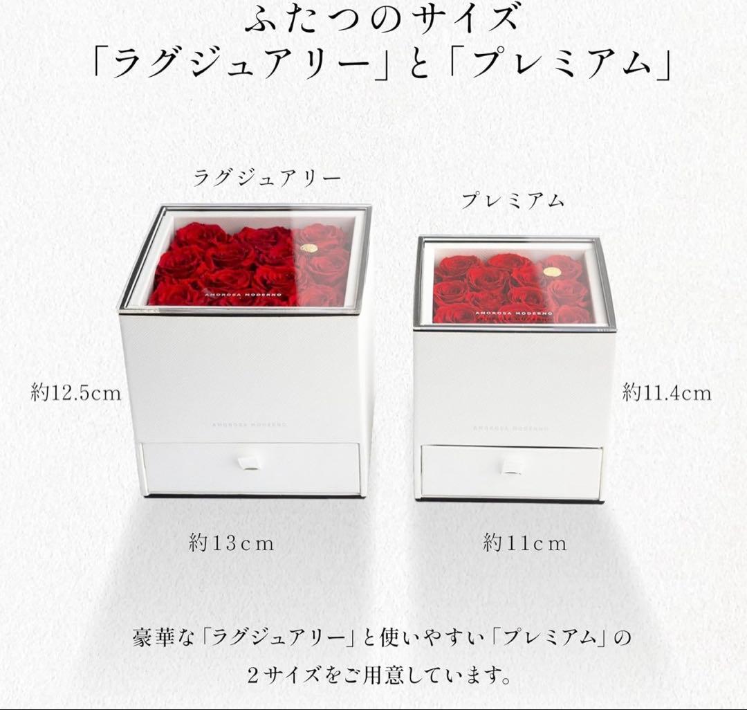 アモローサ　ダーズンローズドゥロアー　ラグジュアリー ブリザード 薔薇 レッド