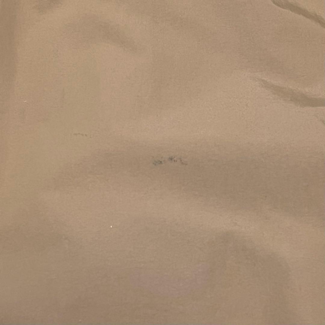 ノースフェイス THE NORTH FACE マウンテンジャケット L インナー