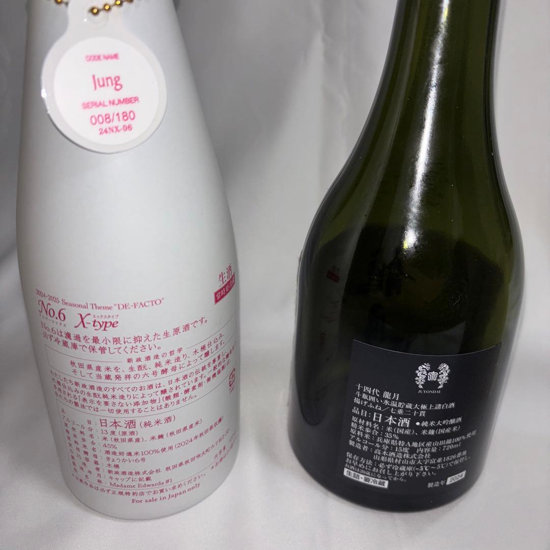龍月 No.6 X Type 日本酒 空瓶