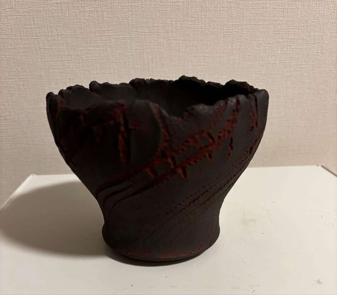 鶴仙園 セキグチタカヒト 鉢