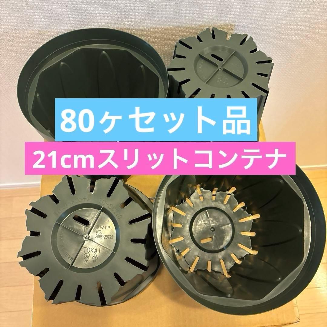 東海化成　21cm 緑 TO スリットコンテナ TO-SC210 80ヶ入セット