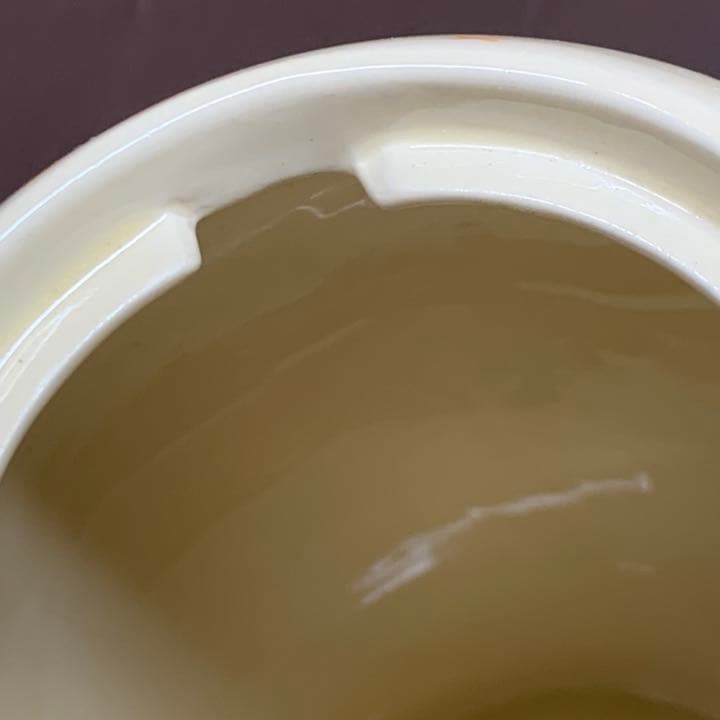 スージークーパー チロル　ポット