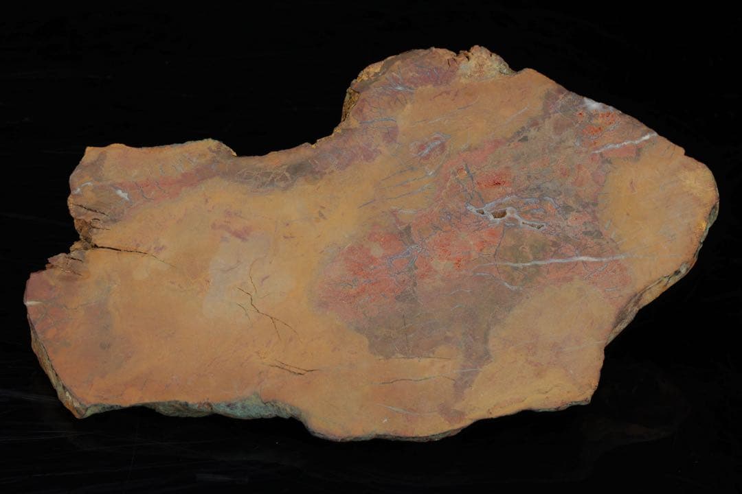 佐渡 五色石 885g 箱付 台座付 水石 鑑賞石 原石 天然石 自然石 飾石