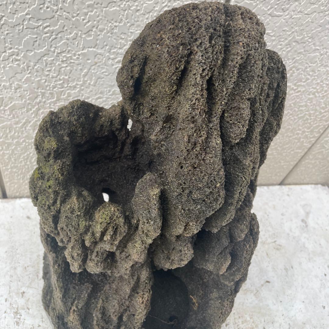雲山石 溶岩石鉢　レイアウト穴4個　水抜き穴あり