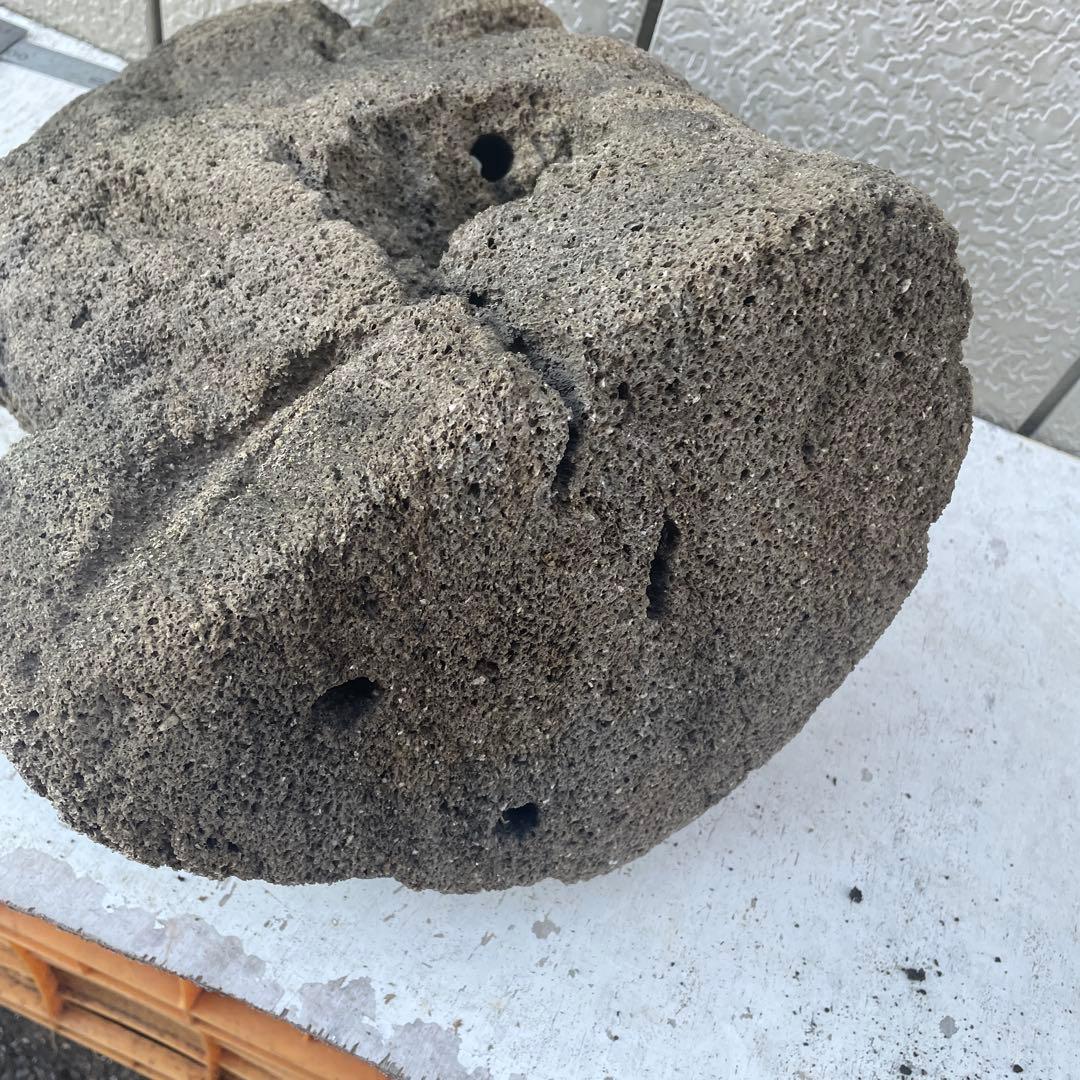 雲山石 溶岩石鉢　レイアウト穴4個　水抜き穴あり