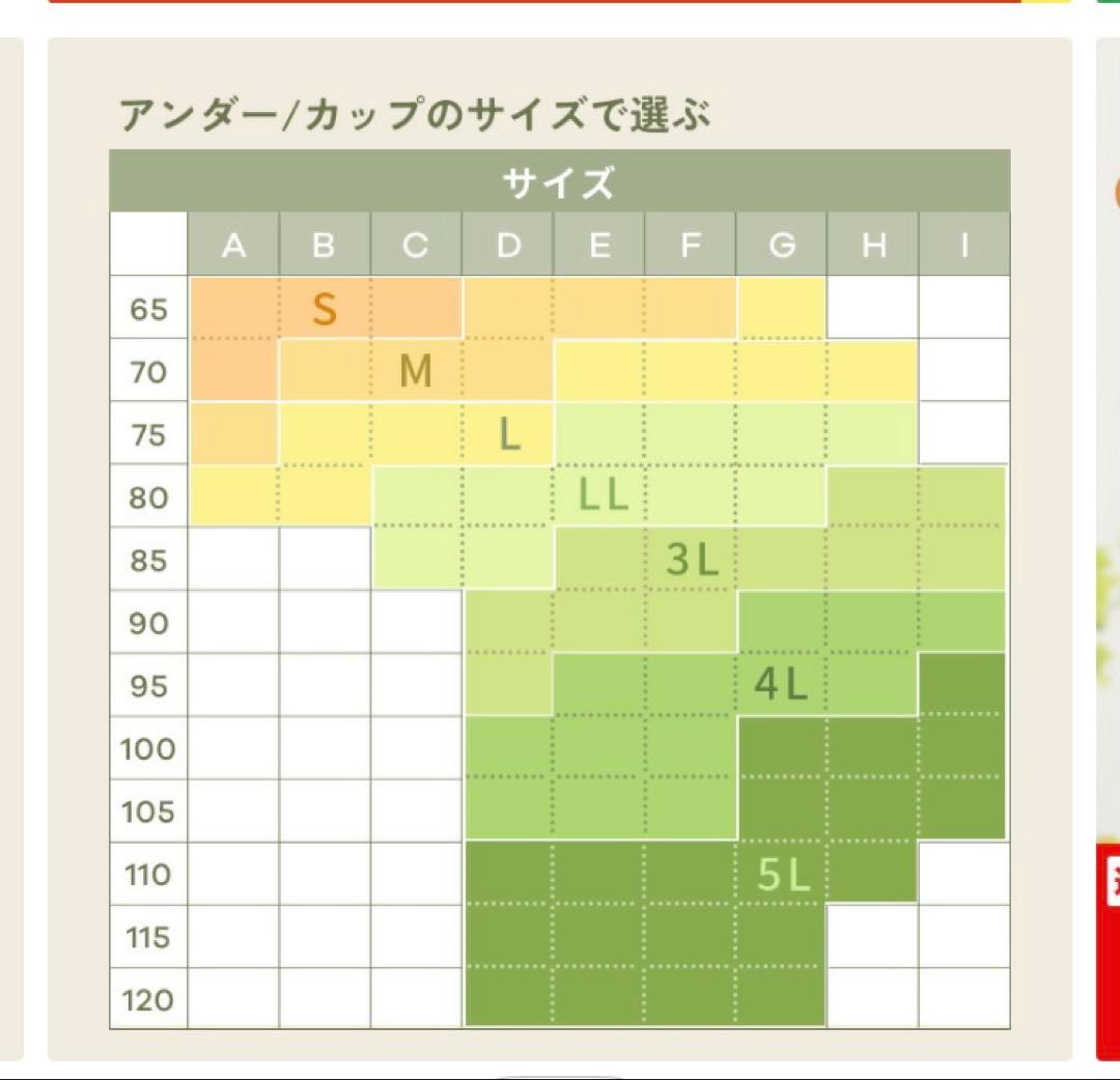 emmerdey ノンワイヤーブラ2枚セット オリジナルポーチ付き