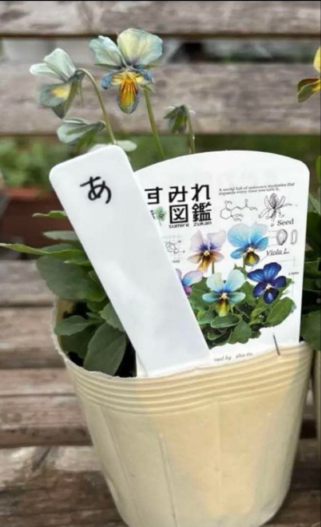 びおら様ご依頼品