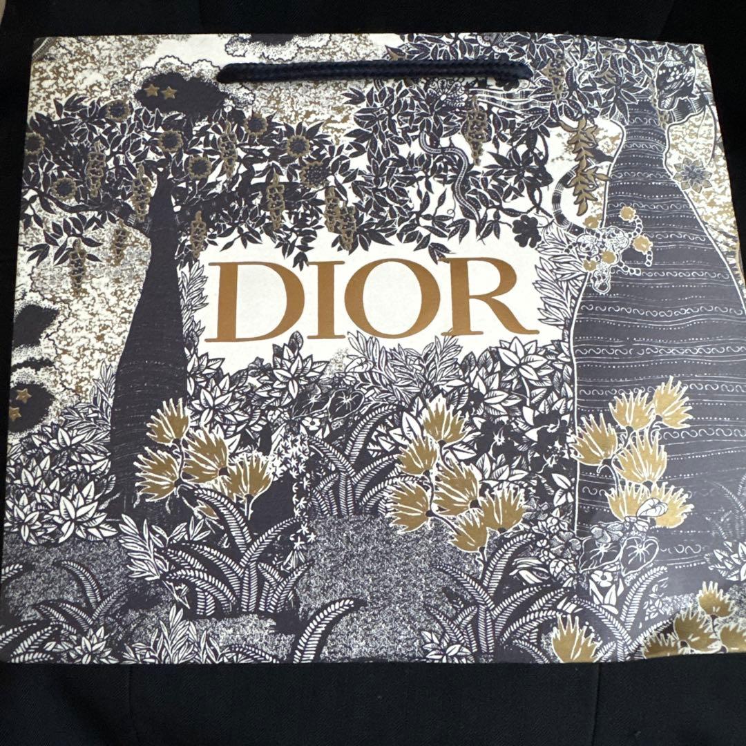 Christian Dior ディオール レザーベルト ブラック